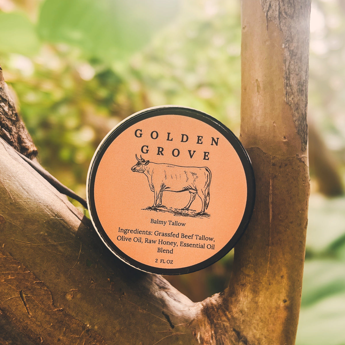 Round tin of Golden Grove tallow balm resting against a tree branch outdoors, featuring a warm amber label with distinct  cow illustration and natural ingredients listed. Grass fed beef tallow, raw honey, olive oil, essential oils for scents 