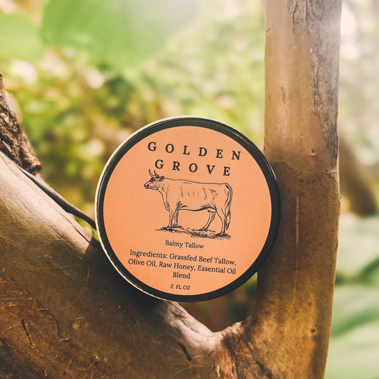 Round tin of Golden Grove tallow balm resting against a tree branch outdoors, featuring a warm amber label with distinct  cow illustration and natural ingredients listed. Grass fed beef tallow, raw honey, olive oil, essential oils for scents 