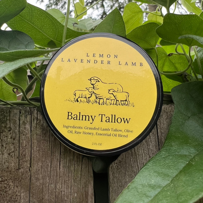 Lemon Lavender Lamb Balmy Tallow product with label on a wooden surface surrounded by green leaves.