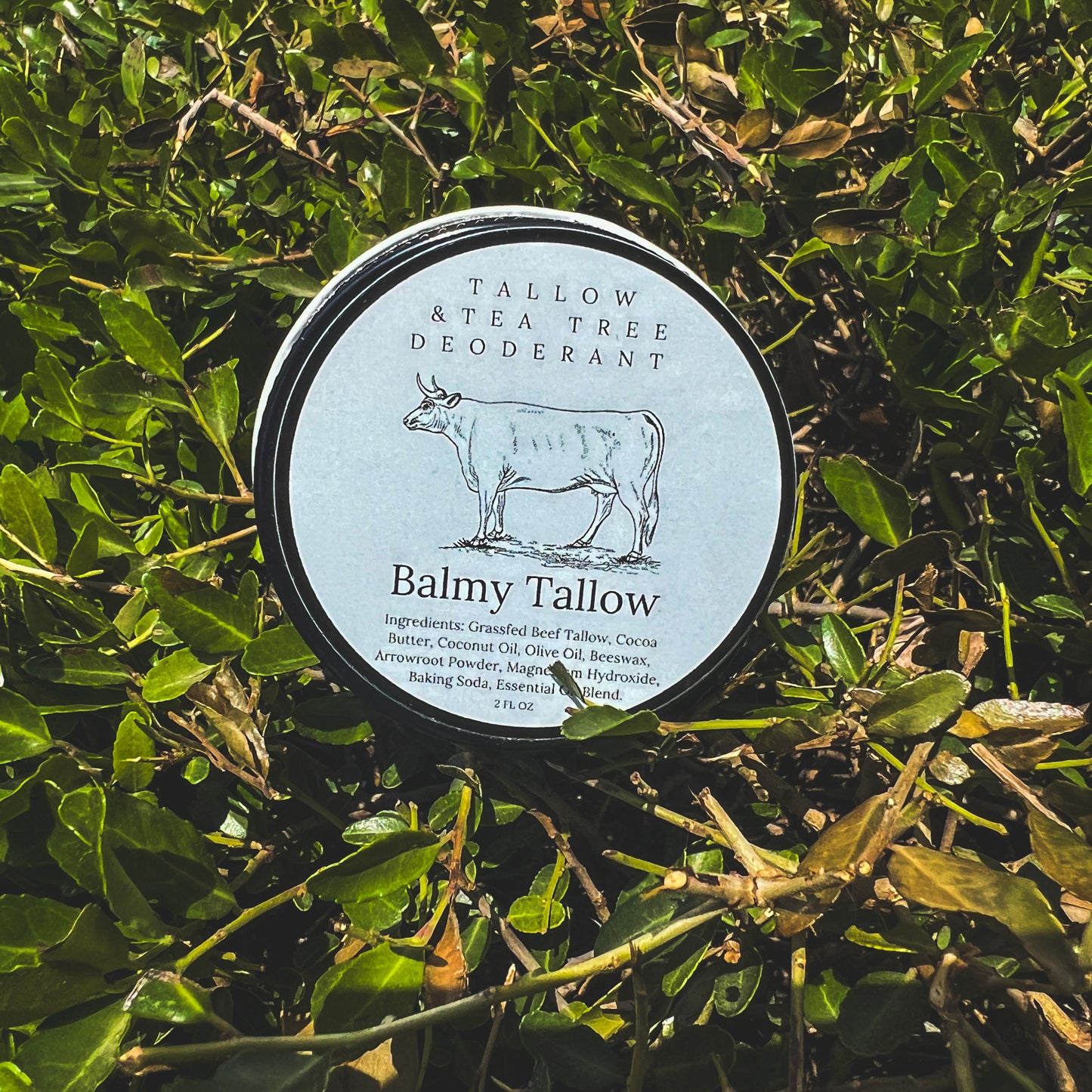 Tallow & Tea Tree Deoderant