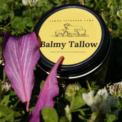 A container of Lemon Lavender Lamb tallow balm from Balmy Tallow, placed in a natural setting with green plants and a pink leaf.