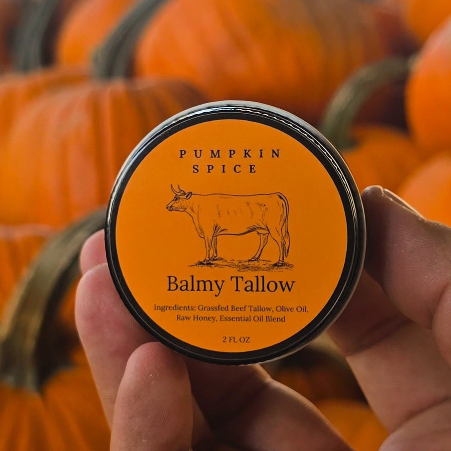 2 oz. Pumpkin Spice Tallow Balm | Balmy Tallow